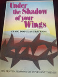 Under The Shadow Of Your Wings